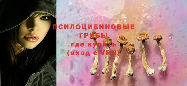 a pvp Вяземский