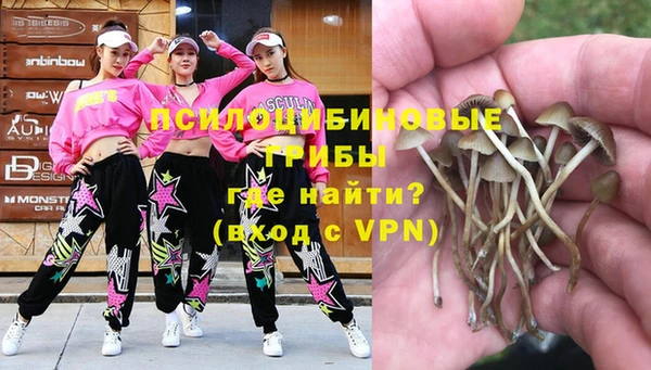 ECSTASY Вязники