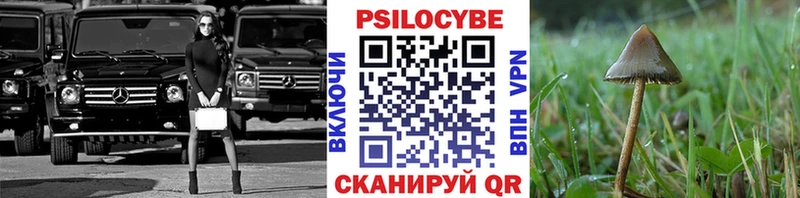 Псилоцибиновые грибы GOLDEN TEACHER  kraken ТОР  Елец 
