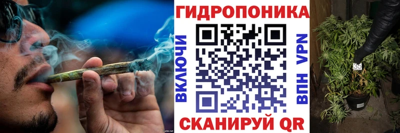 продажа наркотиков  Елец  Конопля Amnesia 